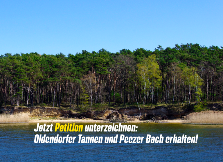 Peezer Bach und Rostocker Moorgebiete retten. Jetzt Petition unterzeichnen und Film ansehen