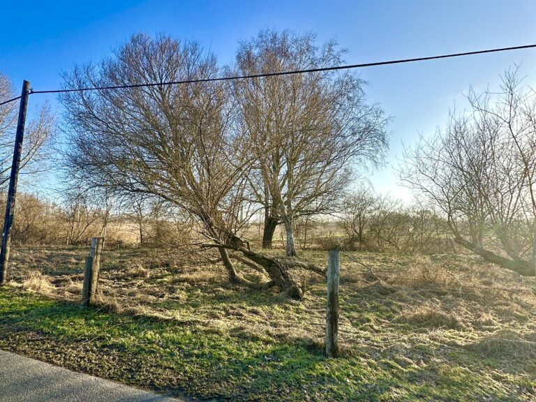 Keine Bebauung des Landschaftsschutzgebiets Diedrichshäger Land